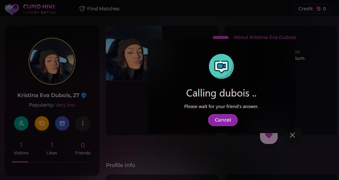Elevate Your Connection With Video Calls on Cupid Hive